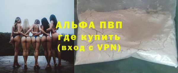 ПСИЛОЦИБИНОВЫЕ ГРИБЫ Верея